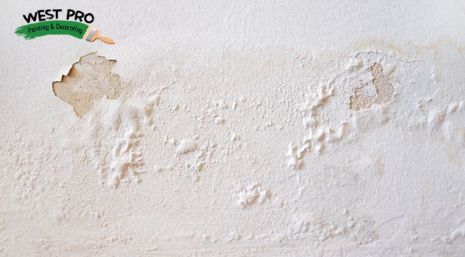 Paint Bubbling From Walls?Causes Behind the Culprits