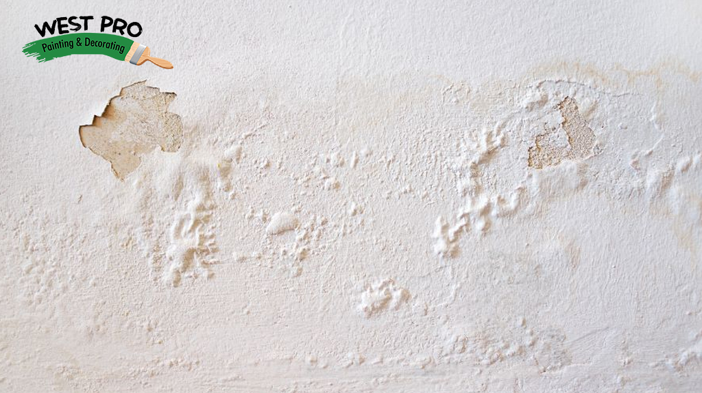 Paint Bubbling From Walls?Causes Behind the Culprits